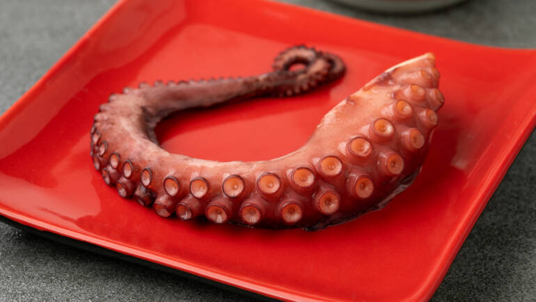 PATA DE PULPO COCIDO