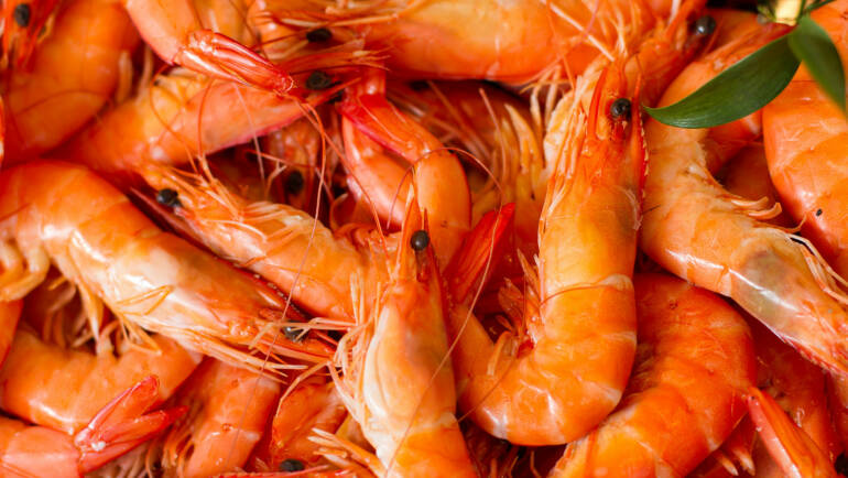 LANGOSTINO COCIDO